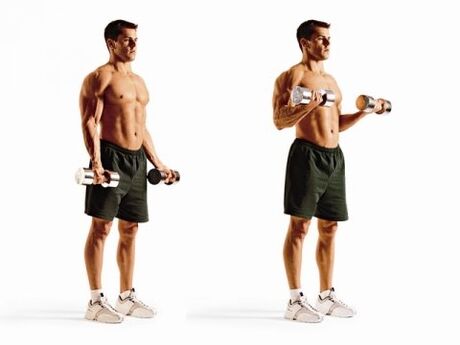 flexions des biceps pour perdre du poids